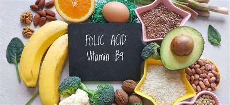 acid folic bioclinica|Acid folic (vitamina B9)